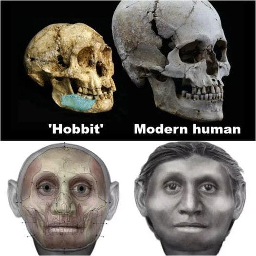Cover Image for Los científicos descubren restos de un hobbit humano que medía sólo un metro de altura y vivió hace 700.000 años en Indonesia.